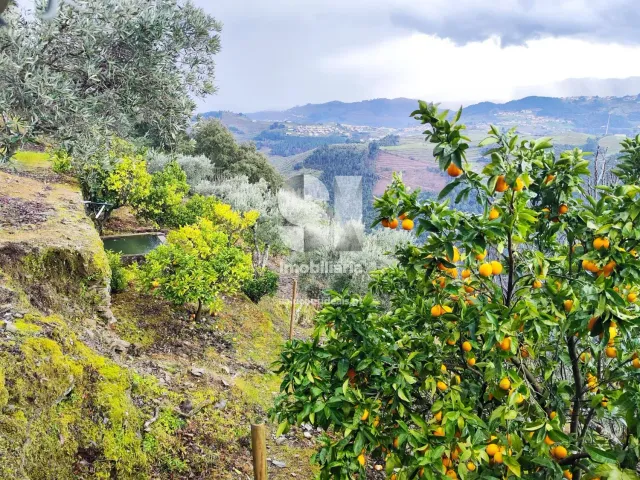 Terreno Urbano T0 - Folhadela, Vila Real, Vila Real - Miniatura: 13/15