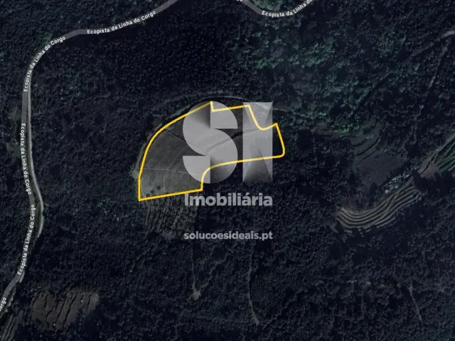 Terreno Urbano T0 - Folhadela, Vila Real, Vila Real - Miniatura: 15/15