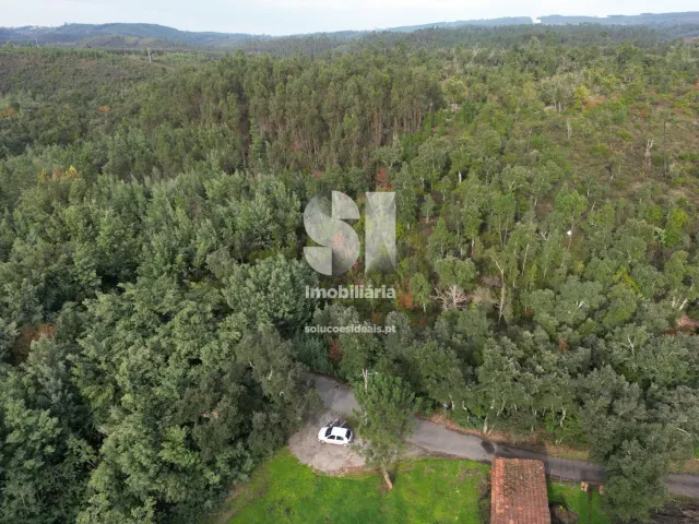 Terreno Urbano T0 - Sarzedo, Arganil, Coimbra - Miniatura: 2/5