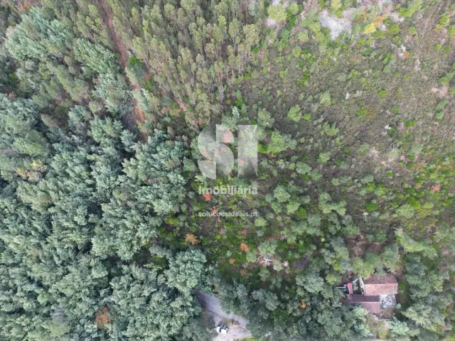 Terreno Urbano T0 - Sarzedo, Arganil, Coimbra - Miniatura: 3/5