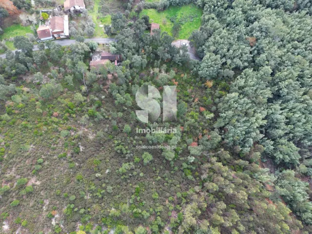 Terreno Urbano T0 - Sarzedo, Arganil, Coimbra - Miniatura: 5/5