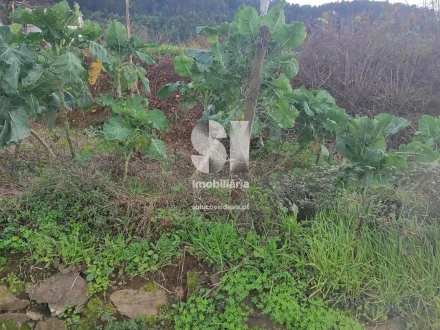 Terreno Urbano T0 - Lous�, Lous�, Coimbra - Miniatura: 6/18