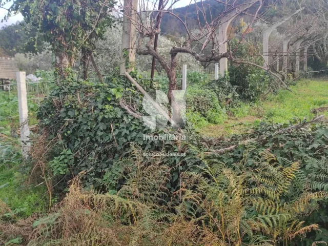 Terreno Urbano T0 - Lous�, Lous�, Coimbra - Miniatura: 14/18
