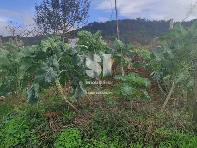 Terreno Urbano T0 - Lous�, Lous�, Coimbra - Miniatura: 16/18