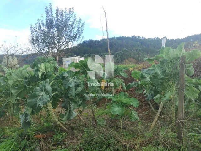 Terreno Urbano T0 - Lous�, Lous�, Coimbra - Miniatura: 17/18