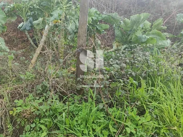 Terreno Urbano T0 - Lous�, Lous�, Coimbra - Miniatura: 18/18