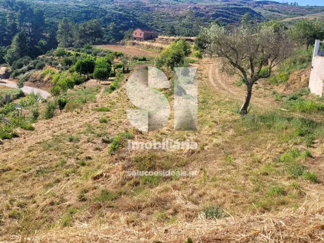 Moradia T0 - S�o Martinho de Antas e Paradela de Gui�es, Sabrosa, Vila Real - Miniatura: 13/18