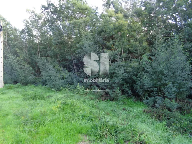 Terreno Urbano T0 - Lous�, Lous�, Coimbra - Miniatura: 2/26