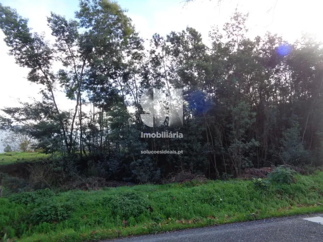 Terreno Urbano T0 - Lous�, Lous�, Coimbra - Miniatura: 3/26