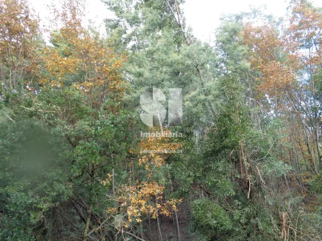 Terreno Urbano T0 - Lous�, Lous�, Coimbra - Miniatura: 11/26