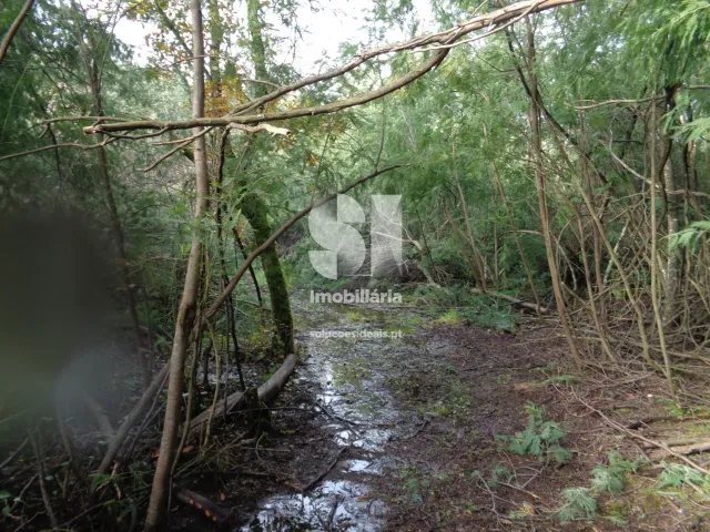 Terreno Urbano T0 - Lous�, Lous�, Coimbra - Miniatura: 12/26