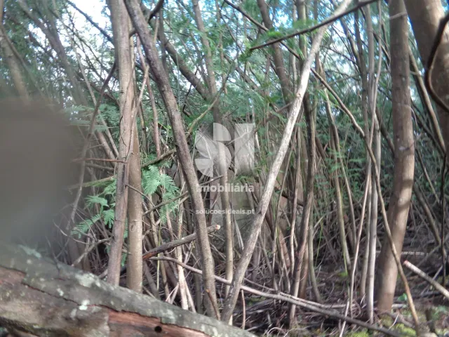 Terreno Urbano T0 - Lous�, Lous�, Coimbra - Miniatura: 13/26