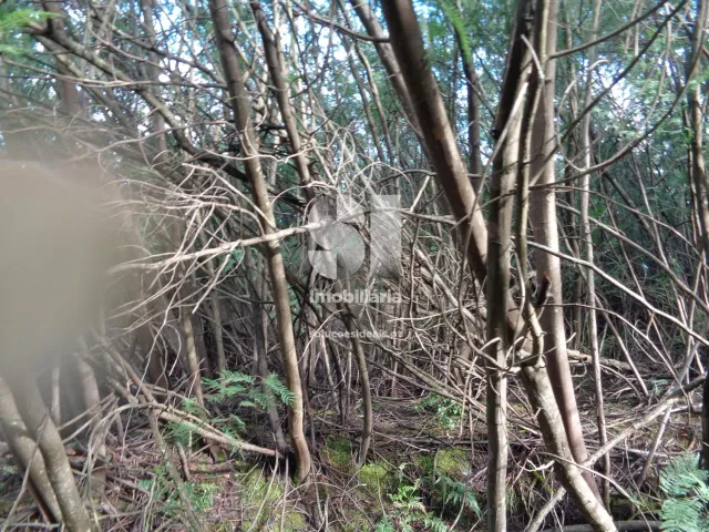 Terreno Urbano T0 - Lous�, Lous�, Coimbra - Miniatura: 15/26