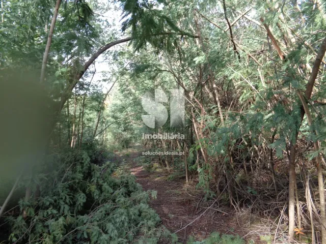 Terreno Urbano T0 - Lous�, Lous�, Coimbra - Miniatura: 16/26