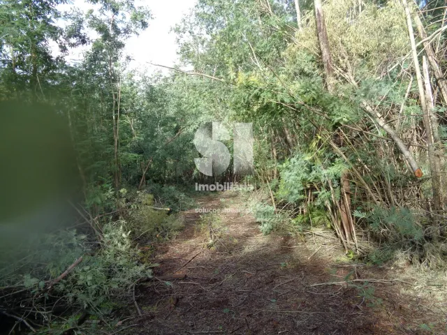 Terreno Urbano T0 - Lous�, Lous�, Coimbra - Miniatura: 17/26