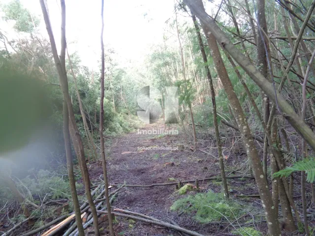 Terreno Urbano T0 - Lous�, Lous�, Coimbra - Miniatura: 18/26