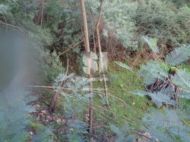 Terreno Urbano T0 - Lous�, Lous�, Coimbra - Miniatura: 19/26