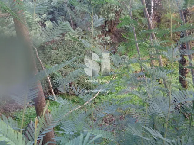 Terreno Urbano T0 - Lous�, Lous�, Coimbra - Miniatura: 20/26