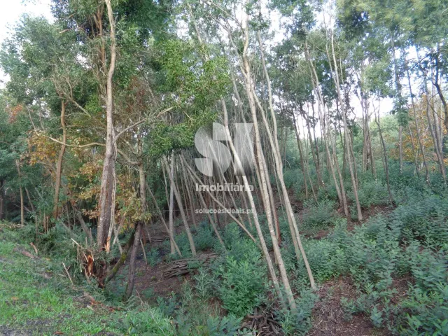 Terreno Urbano T0 - Lous�, Lous�, Coimbra - Miniatura: 22/26