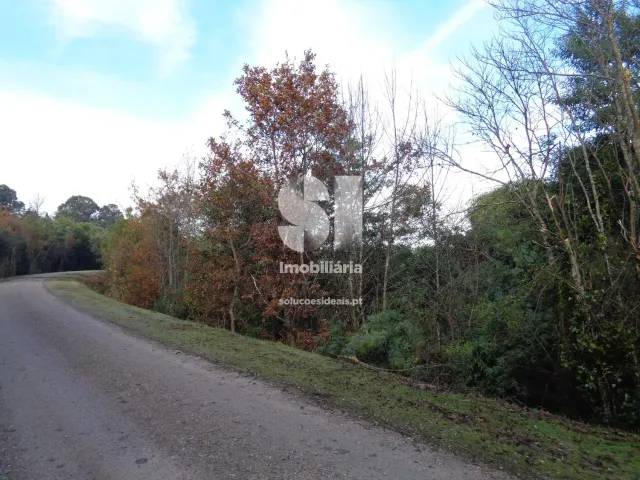 Terreno Urbano T0 - Lous�, Lous�, Coimbra - Miniatura: 23/26