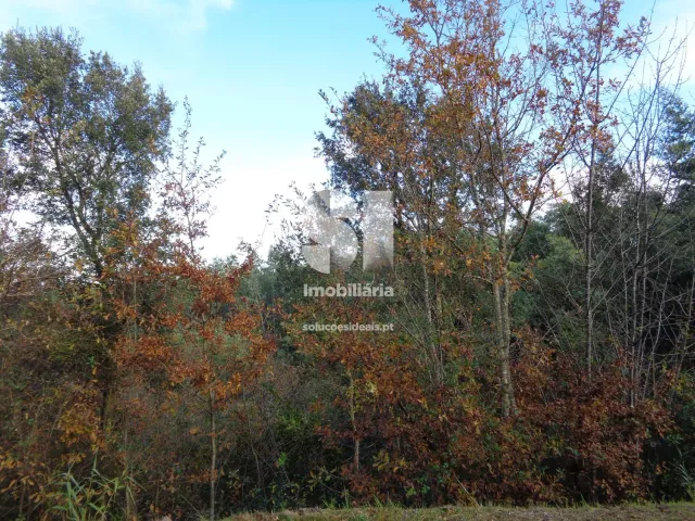 Terreno Urbano T0 - Lous�, Lous�, Coimbra - Miniatura: 24/26