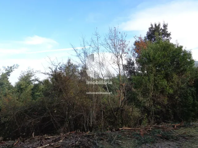 Terreno Urbano T0 - Lous�, Lous�, Coimbra - Miniatura: 25/26