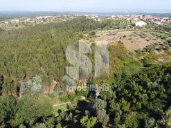 Moradia T5 - S�o Pedro de Alva, Penacova, Coimbra - Miniatura: 13/29