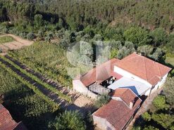 Moradia T5 - S�o Pedro de Alva, Penacova, Coimbra - Miniatura: 19/29