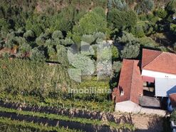 Moradia T5 - S�o Pedro de Alva, Penacova, Coimbra - Miniatura: 21/29