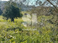 Terreno Urbano T0 - Soure, Soure, Coimbra - Miniatura: 1/2