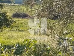 Terreno Urbano T0 - Soure, Soure, Coimbra - Miniatura: 2/2