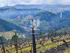 Terreno R�stico T0 - Folhadela, Vila Real, Vila Real - Miniatura: 4/15