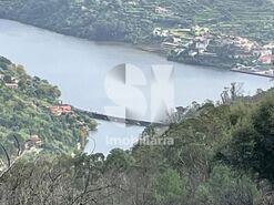 Terreno R�stico T0 - Ancede, Bai�o, Porto - Miniatura: 2/13