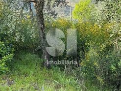 Terreno R�stico T0 - Ancede, Bai�o, Porto - Miniatura: 4/13