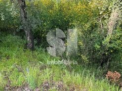 Terreno R�stico T0 - Ancede, Bai�o, Porto - Miniatura: 5/13