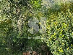 Terreno R�stico T0 - Ancede, Bai�o, Porto - Miniatura: 6/13