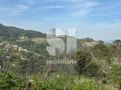 Terreno R�stico T0 - Ancede, Bai�o, Porto - Miniatura: 8/13