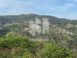 Terreno R�stico T0 - Ancede, Bai�o, Porto - Miniatura: 9/13
