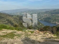 Terreno R�stico T0 - Ancede, Bai�o, Porto - Miniatura: 10/13