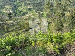 Terreno R�stico T0 - Ancede, Bai�o, Porto - Miniatura: 11/13