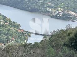 Terreno R�stico T0 - Ancede, Bai�o, Porto - Miniatura: 12/13