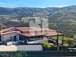 Quinta T4 - Ervedosa do Douro, S�o Jo�o da Pesqueira, Viseu - Miniatura: 1/18