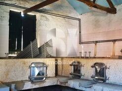 Quinta T4 - Ervedosa do Douro, S�o Jo�o da Pesqueira, Viseu - Miniatura: 4/18