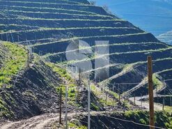 Quinta T4 - Ervedosa do Douro, S�o Jo�o da Pesqueira, Viseu - Miniatura: 7/18