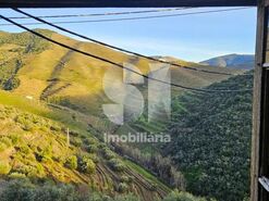 Quinta T4 - Ervedosa do Douro, S�o Jo�o da Pesqueira, Viseu - Miniatura: 15/18