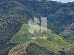 Quinta T4 - Ervedosa do Douro, S�o Jo�o da Pesqueira, Viseu - Miniatura: 16/18