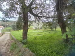 Terreno Urbano T0 - S�o Martinho do Bispo, Coimbra, Coimbra - Miniatura: 1/4