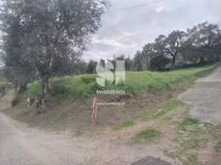 Terreno Urbano T0 - S�o Martinho do Bispo, Coimbra, Coimbra - Miniatura: 4/4