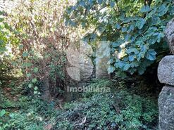 Moradia T3 - Souto Maior, Sabrosa, Vila Real - Miniatura: 4/18