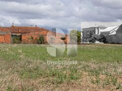Moradia T4 - Bustos, Oliveira do Bairro, Aveiro - Miniatura: 37/37